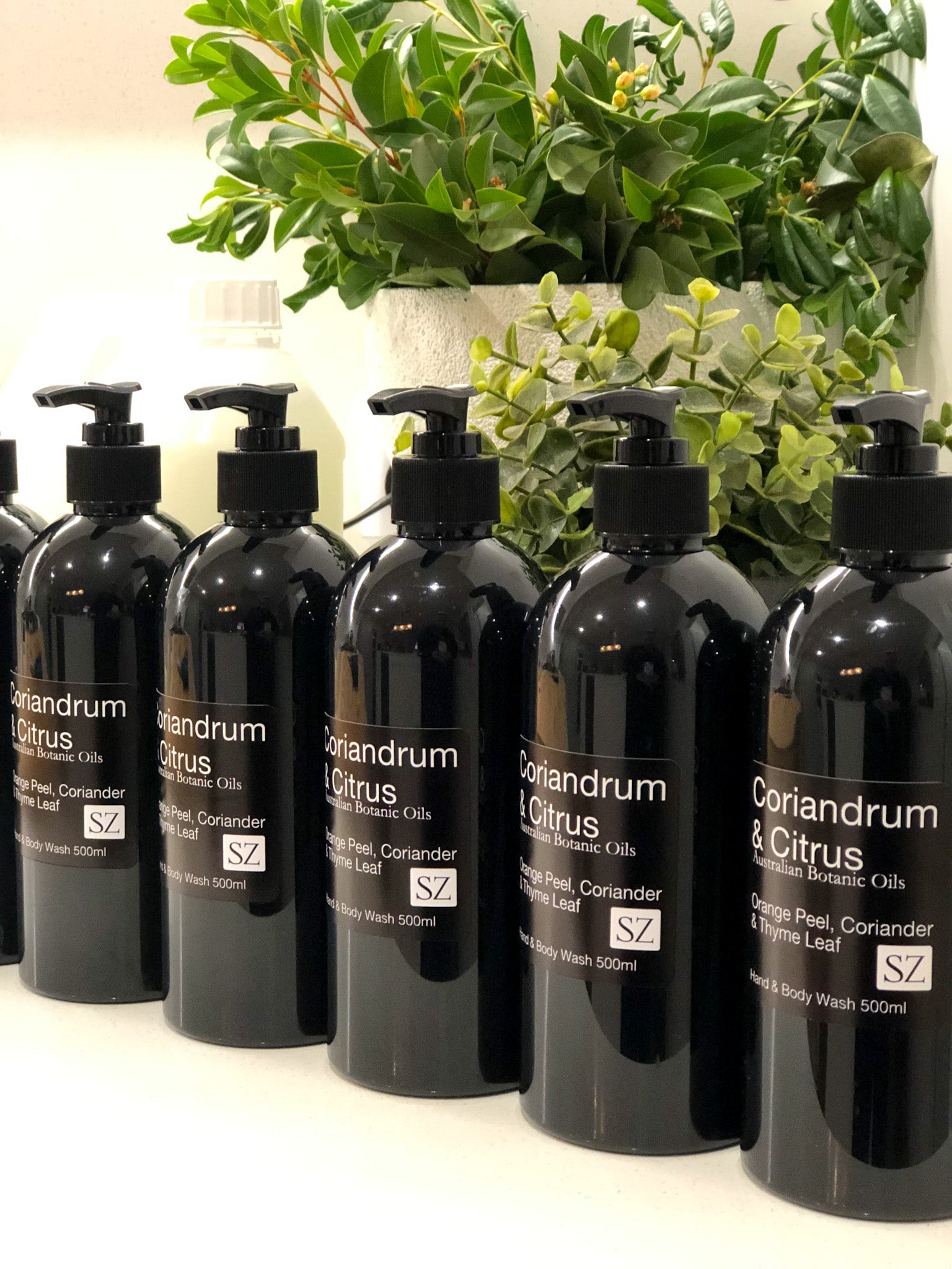 Hand & body Wash refill 2500ml