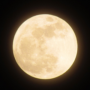 Lunar Candle
